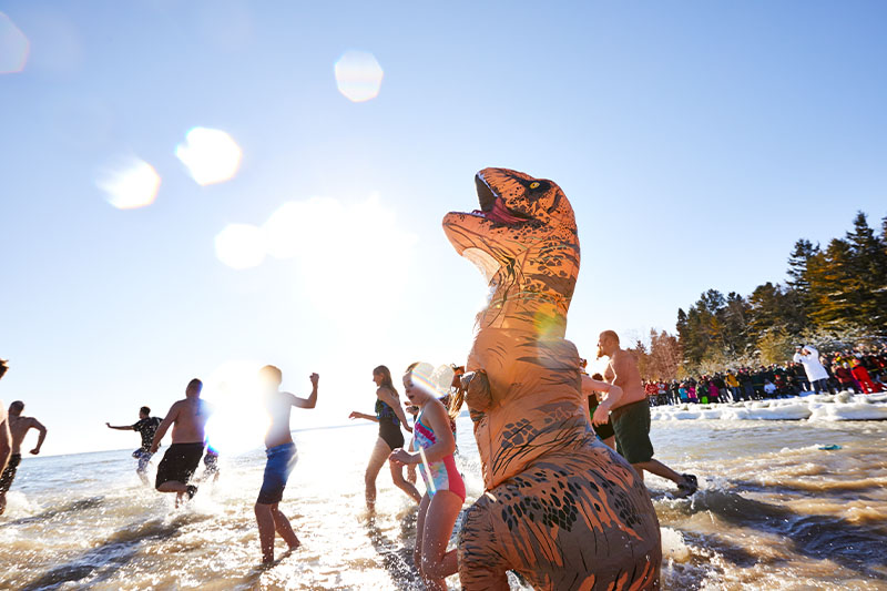 Polar Bear Swim